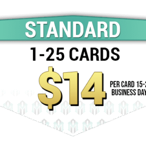 Standard Submissions (1-25)